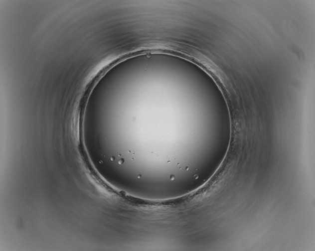 X0000112181127200908071320