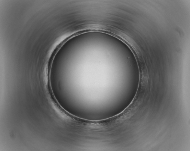 X0000112181128200908071320