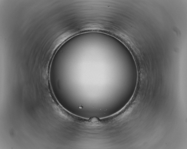 X0000112181129200908071320