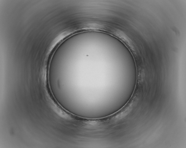 X0000112181130200908071320