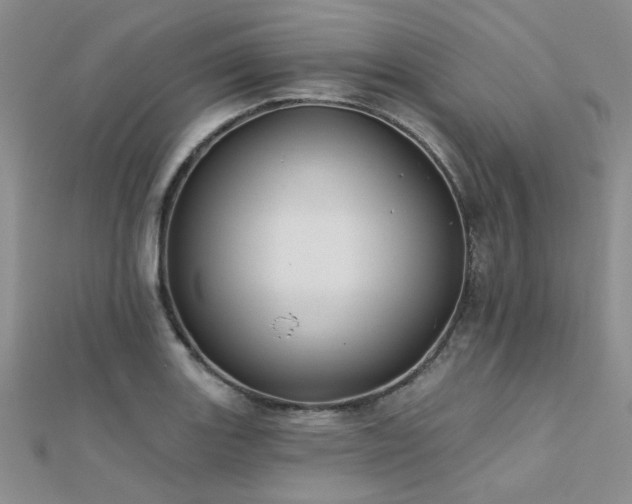 X0000112181131200908071320