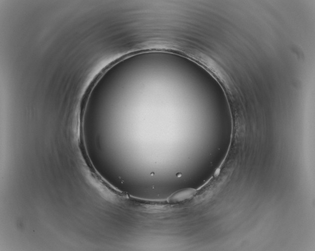 X0000112181132200908071320