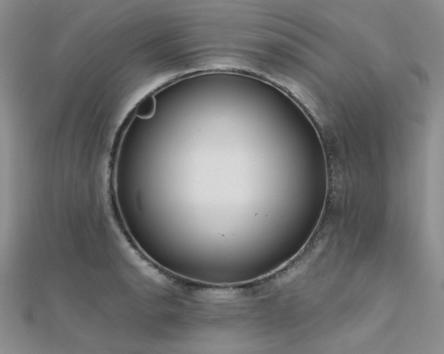 X0000112181134200908071320