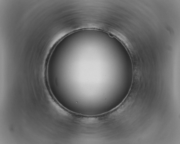 X0000112181135200908071320