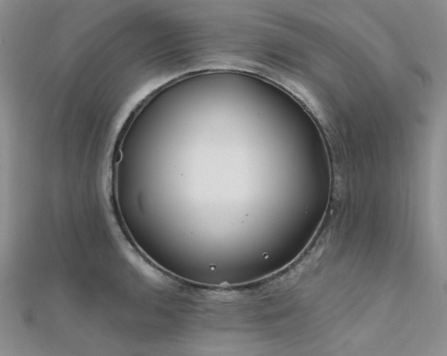 X0000112181136200908071320