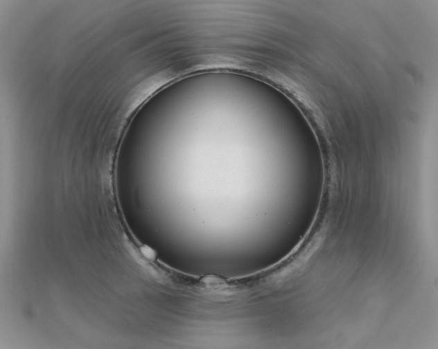 X0000112181137200908071320