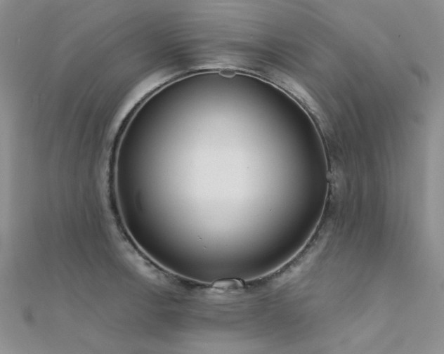 X0000112181138200908071320