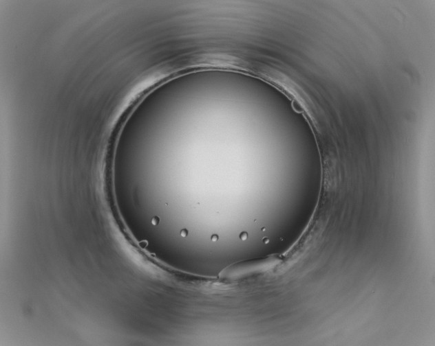 X0000112181139200908071320