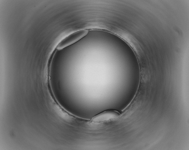 X0000112181140200908071320