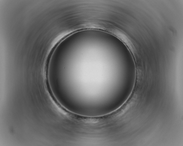 X0000112181141200908071320