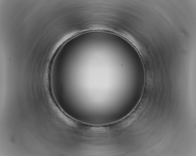 X0000112181142200908071320