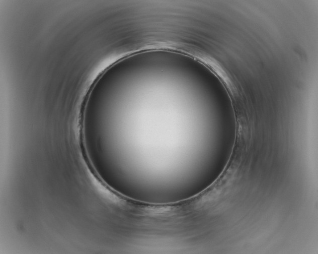 X0000112181143200908071320