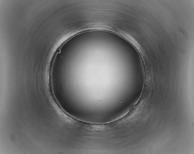 X0000112181144200908071321