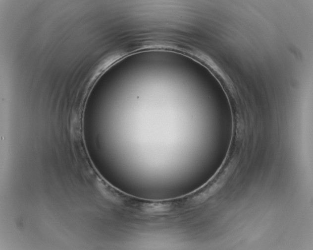 X0000112181145200908071321