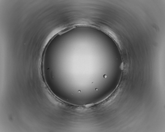 X0000112181146200908071321