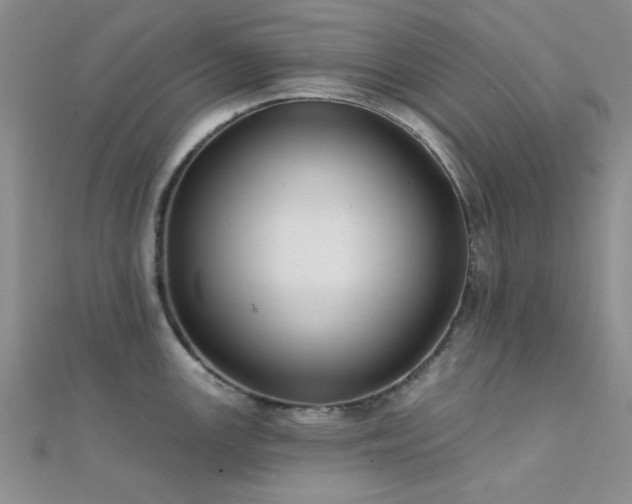 X0000112181147200908071321