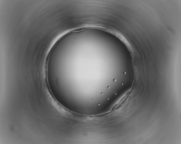 X0000112181148200908071321