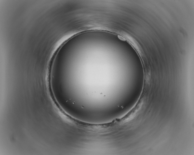 X0000112181149200908071321