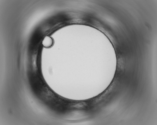 X0000112181150200908071321