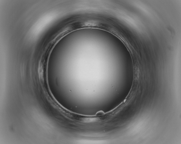 X0000112181151200908071321