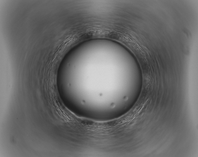 X0000112181153200908071320