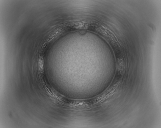 X0000112181154200908071320