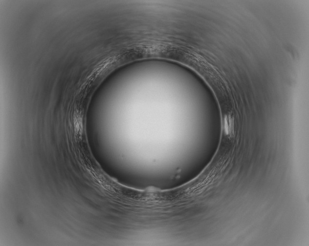 X0000112181155200908071320