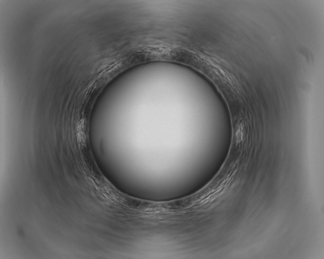 X0000112181156200908071320