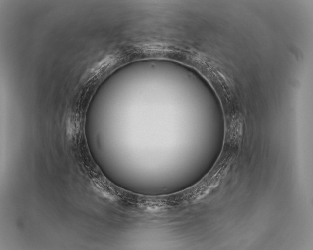 X0000112181157200908071320