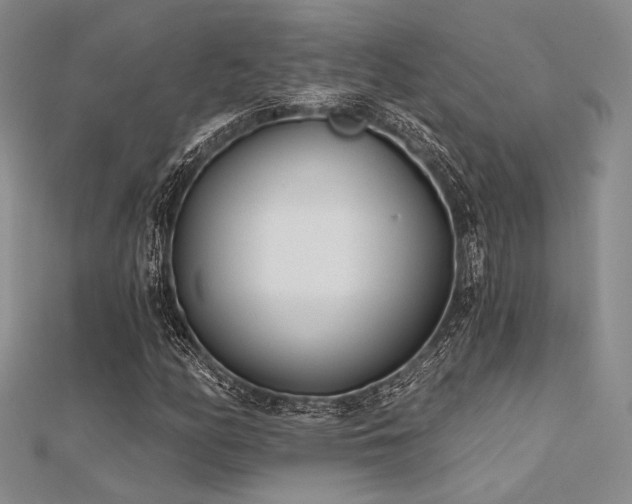 X0000112181158200908071320