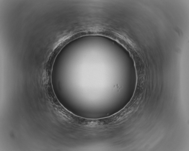 X0000112181160200908071320