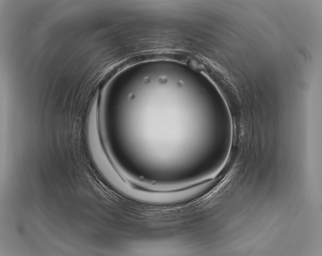 X0000112181161200908071320