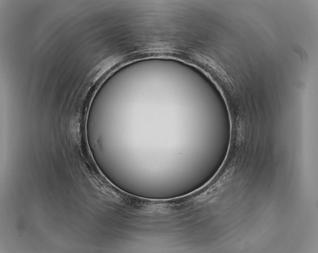 X0000112181162200908071320