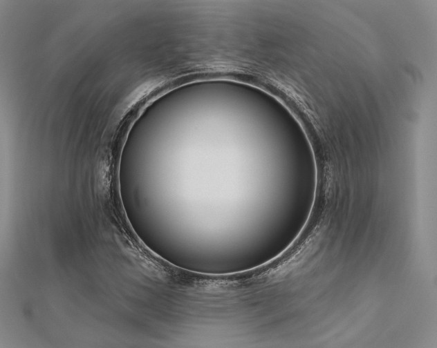 X0000112181163200908071320