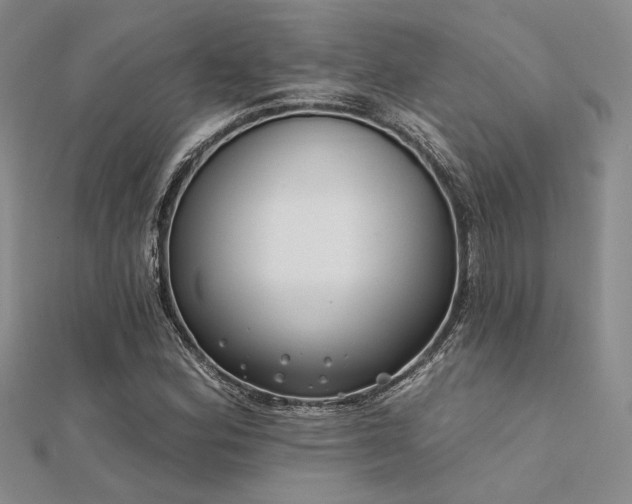 X0000112181164200908071320