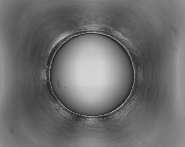 X0000112181166200908071320