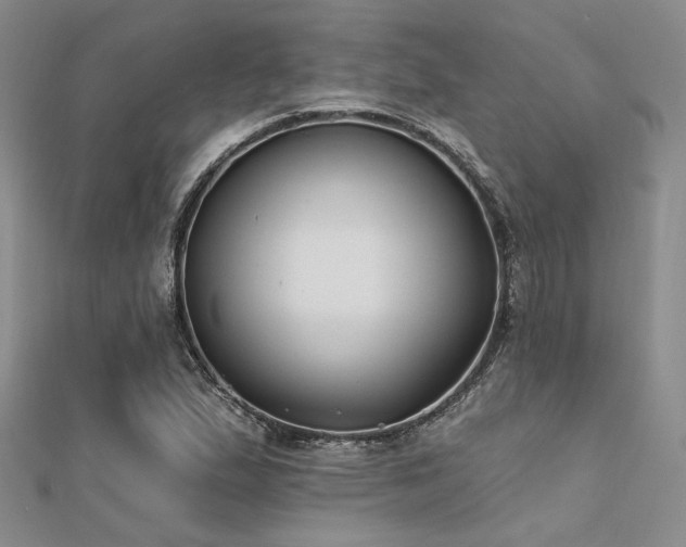 X0000112181167200908071320