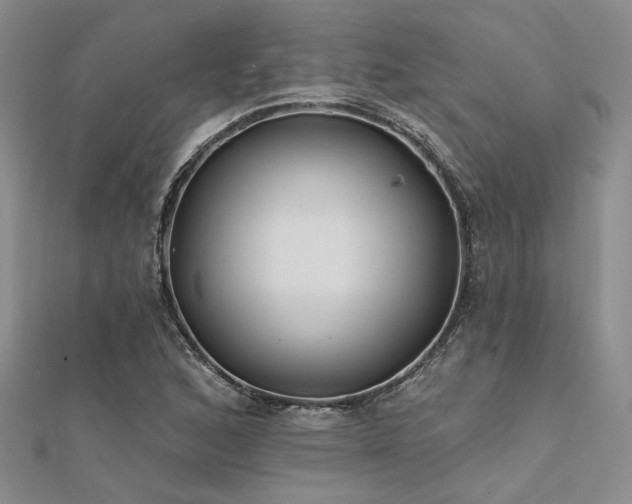 X0000112181168200908071320