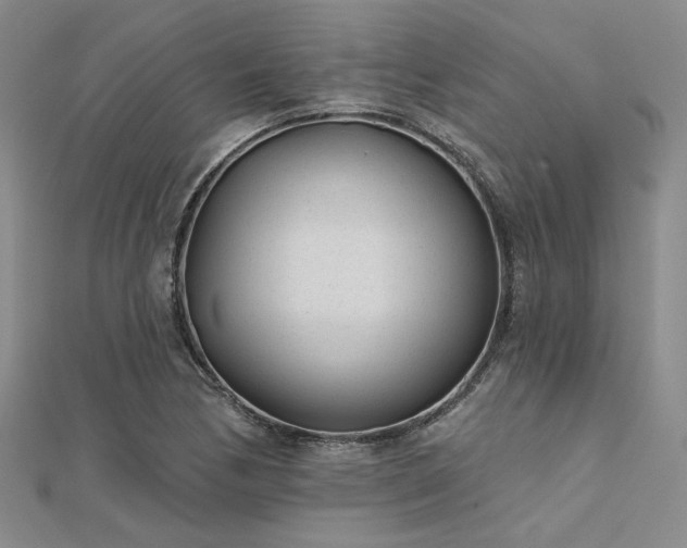 X0000112181170200908071320