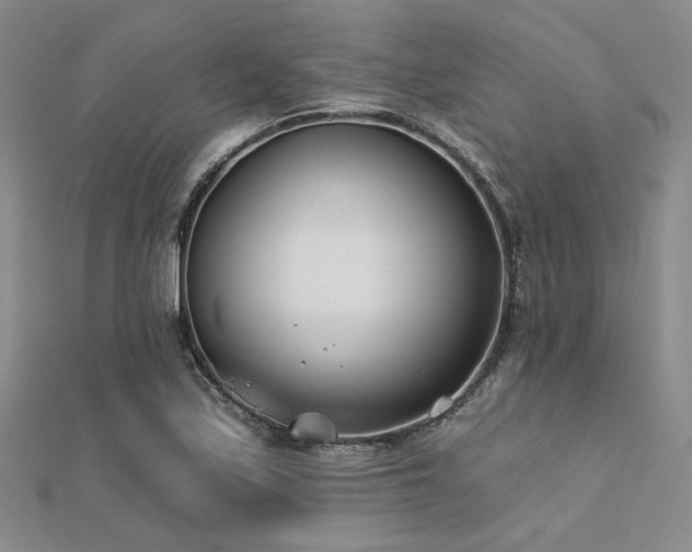 X0000112181171200908071320