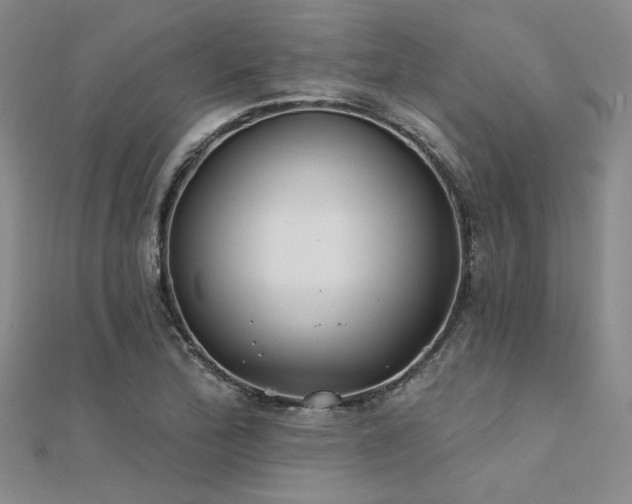 X0000112181172200908071320