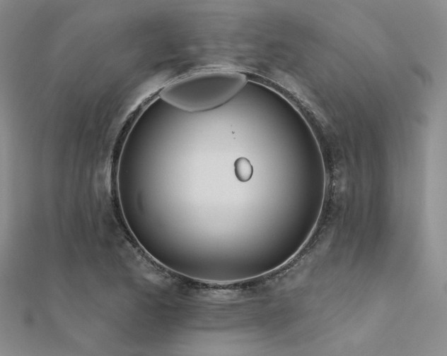 X0000112181173200908071320