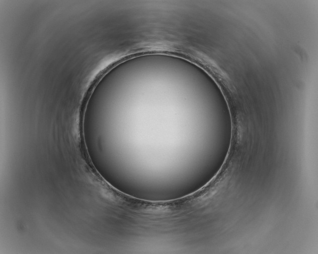 X0000112181174200908071320