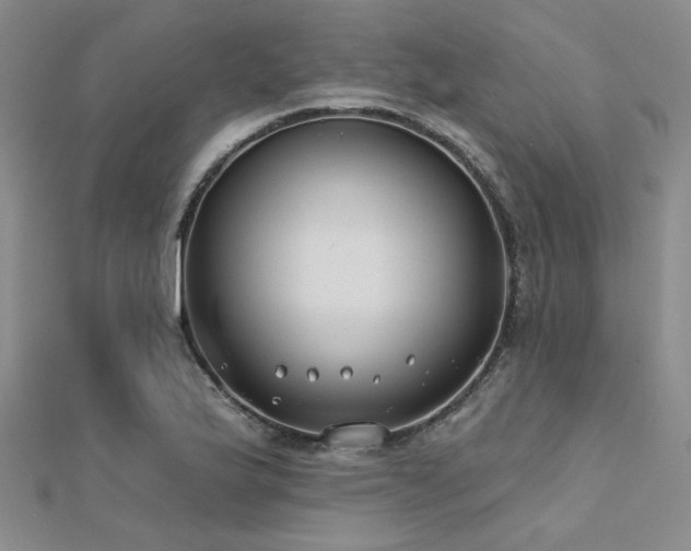 X0000112181175200908071320