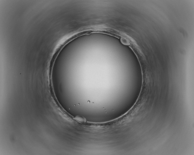 X0000112181176200908071320