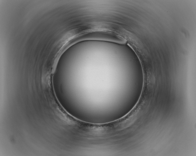 X0000112181177200908071320