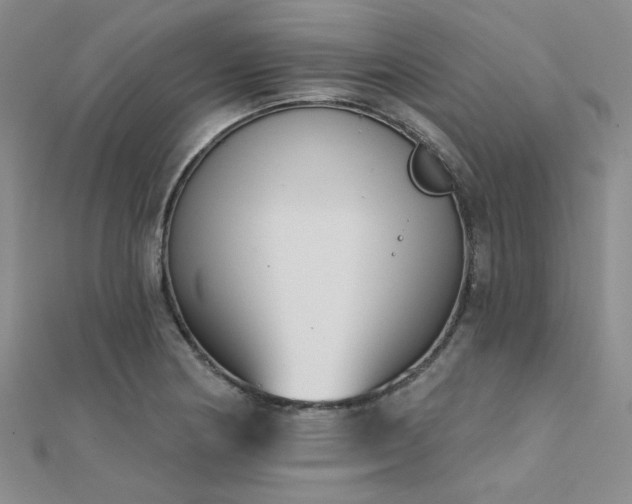 X0000112181178200908071320