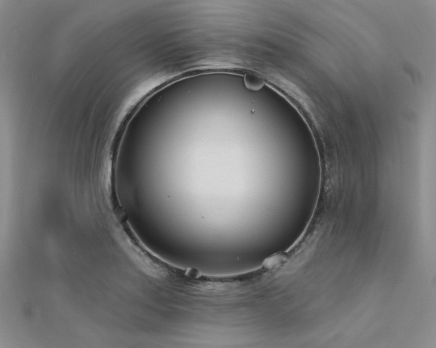 X0000112181179200908071320