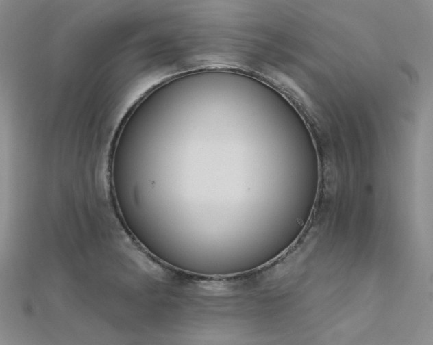 X0000112181182200908071320