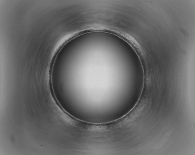 X0000112181183200908071320